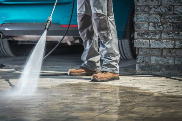 Best Graffiti Removal  in Naples Manor, FL